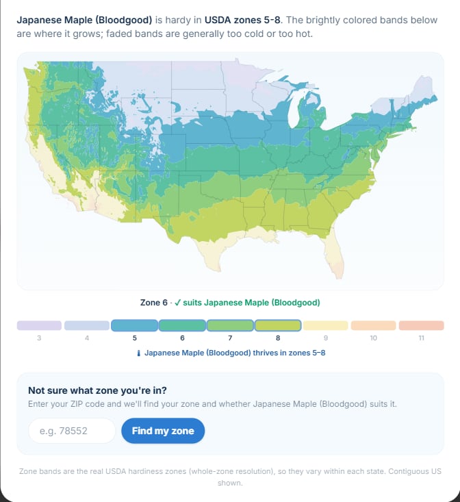 USDA zone map for Japanese Maple, hardy in zones 5–8