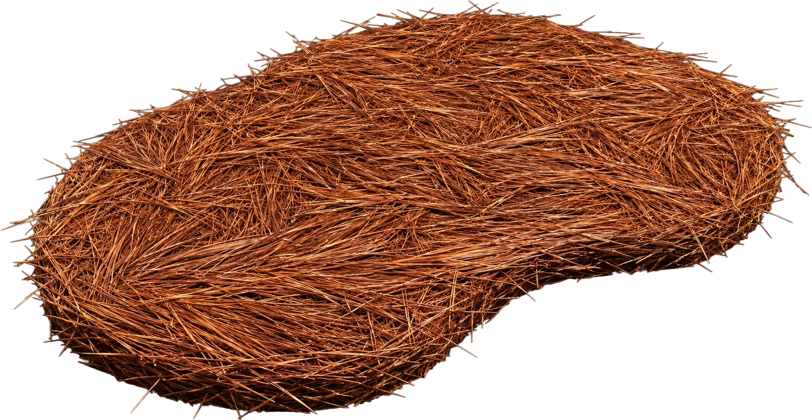 Pine Straw