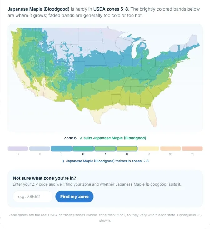 USDA zone map for Japanese Maple, hardy in zones 5–8