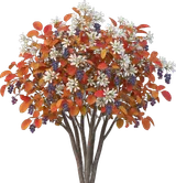 Apple Serviceberry