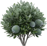 Pineapple Guava