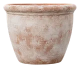 Limewashed Terracotta Pot