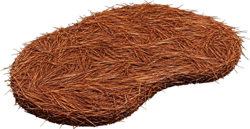 Pine Straw