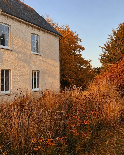 Grasses & prairie in fall — AI-designed yard